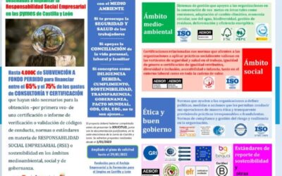 Ampliación de plazo RSE