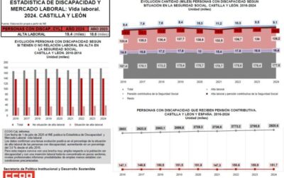 Discapacidad y mercado laboral: datos 2024