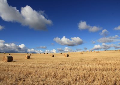 EJE TRANSVERSAL: ESTRATEGIA RURAL CON ENFOQUE PARA LA COHESIÓN TERRITORIAL