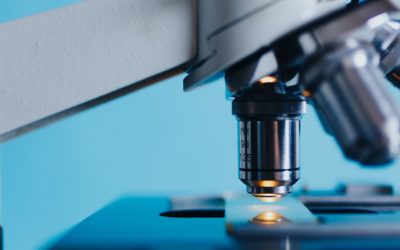 Evaluación Intermedia y Actualización de la RIS3 2021-2027