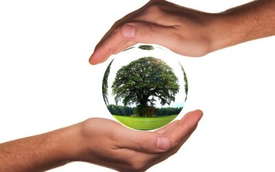 Estudio de la Fundación Biodiversidad y de la Oficina Española de Cambio Climatico